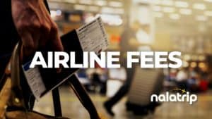 Airline fees cost