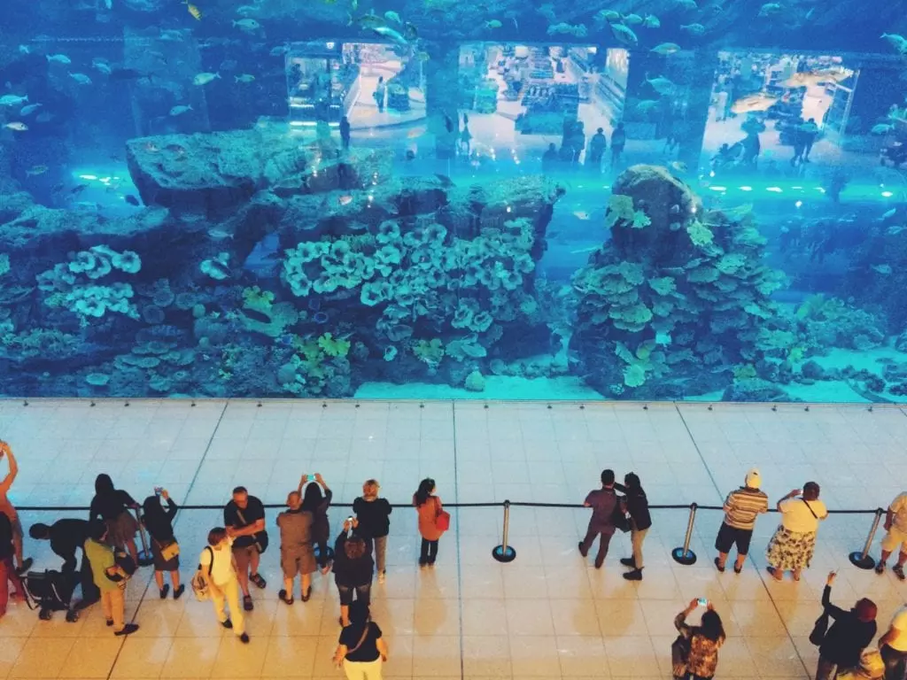 Tourists looking aquarium